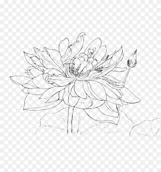 �����ֻ��߸�-������