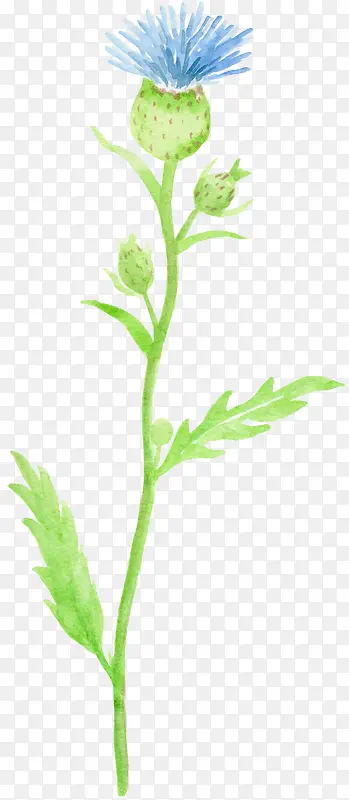 ˮ����ɫ���Ƕ�-������