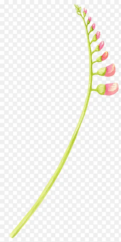 ��ɫˮ�ʻ��Ƕ�-������