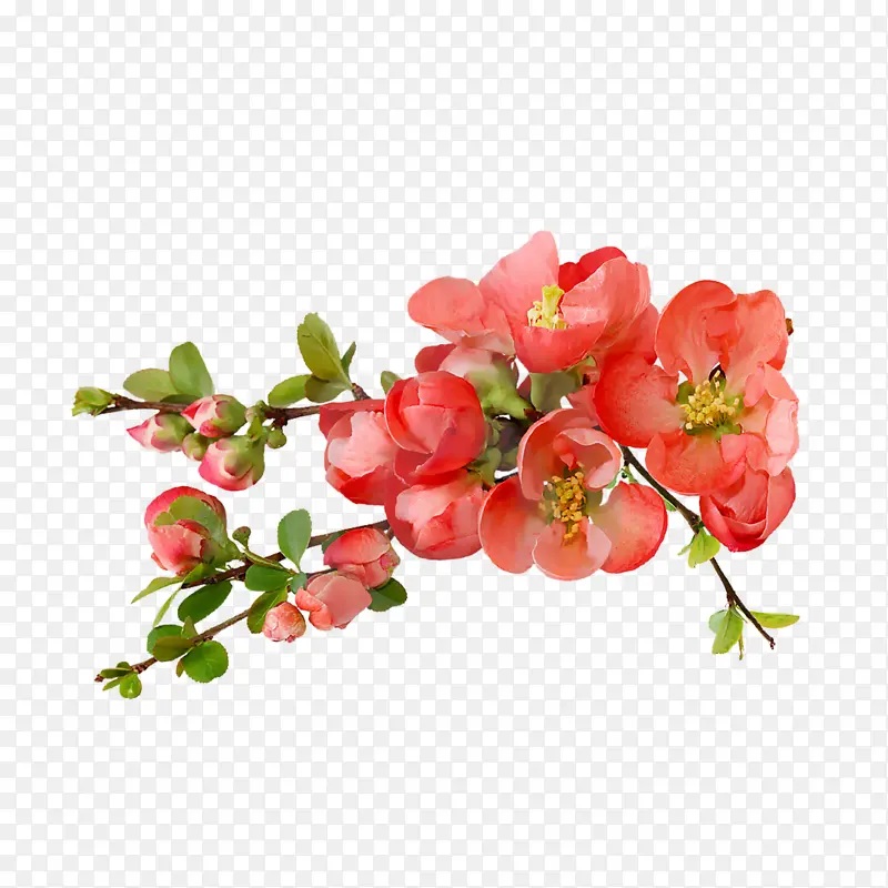 ˮ���ʻ�-������