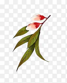 ˮ�ʻ��Ƕ� ��ɫҶ��-������