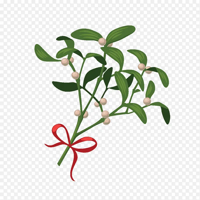 ����ʥ����֦��֦-������