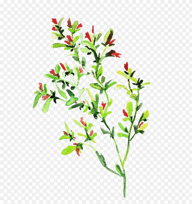 �ֻ���֦-������