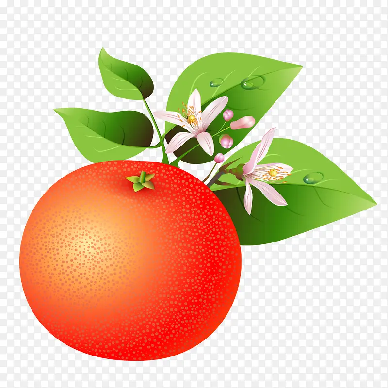 ��ͨˮ����������ˮ��-������