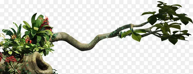 ��ɫ������֦-������