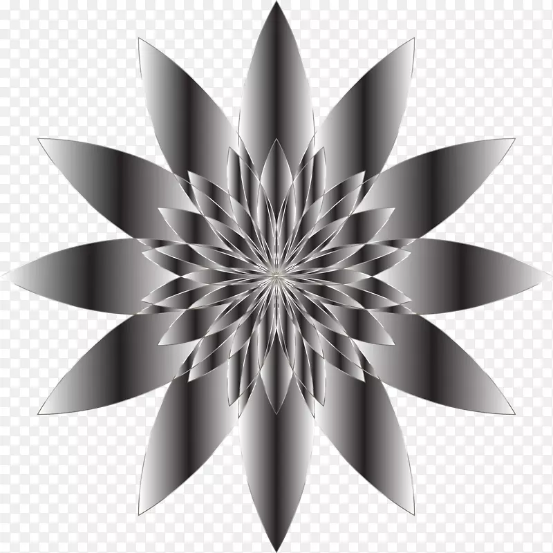 �ڰ���Ӱ�ڰ׻�����-������