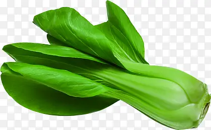 �����߲�ˮ����������-������