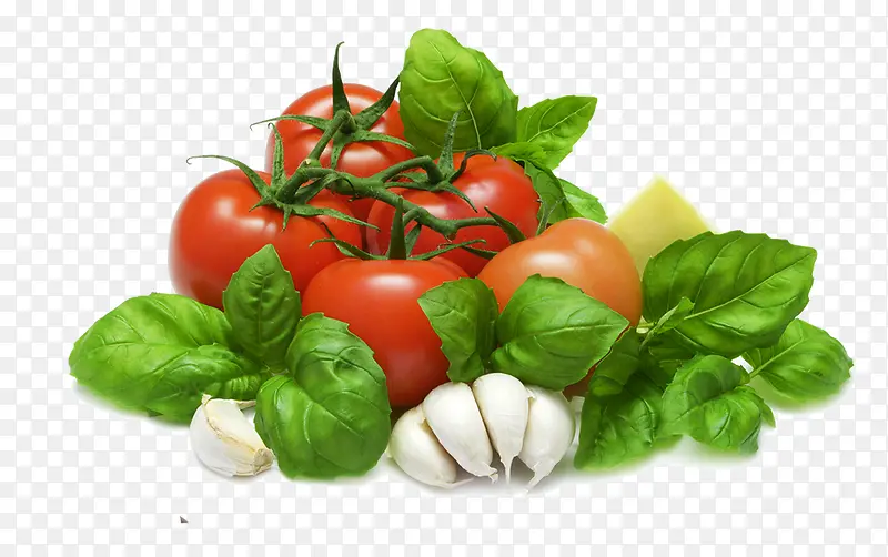 ��ɫ�߲�-������