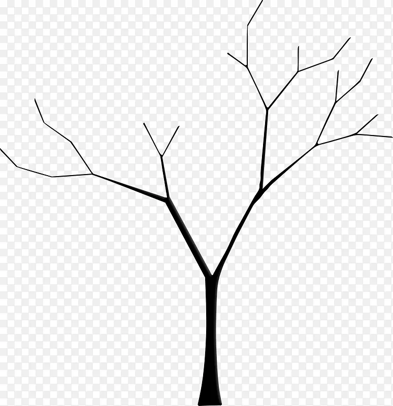 ����֦-������