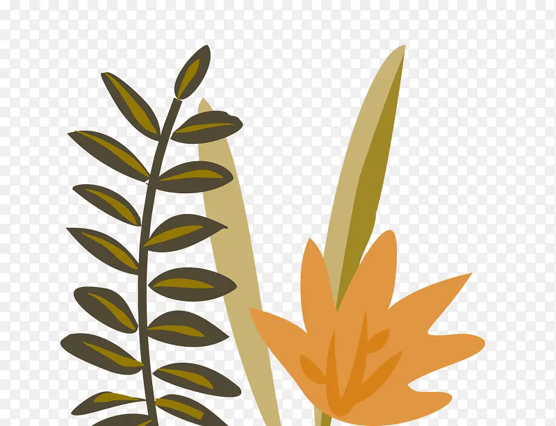 ��ƽ����Ҷ-������