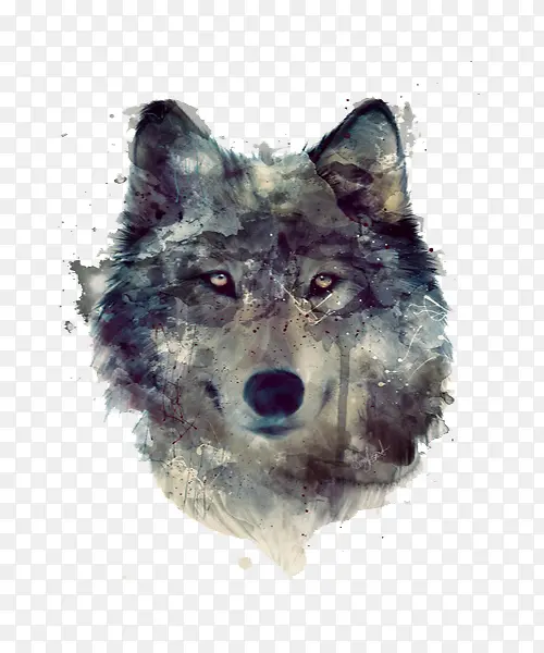 ��ɫˮ����ͷ-������