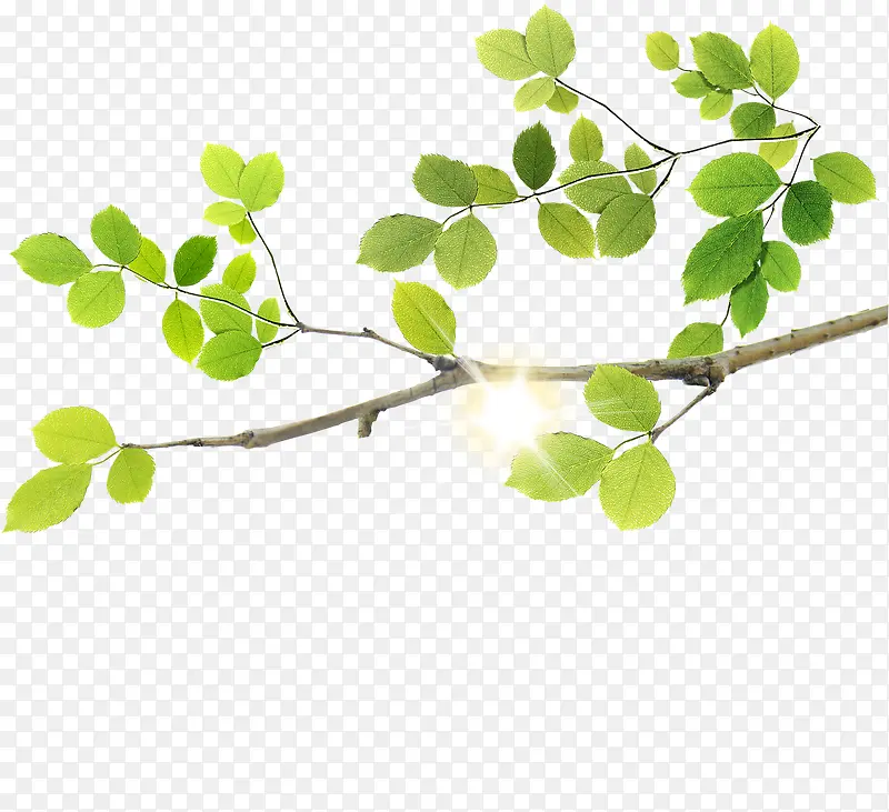 �ֻ�����������֦-������