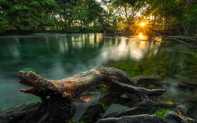 ����������֦����-������