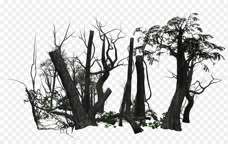 �ݰܵ���ľ-������