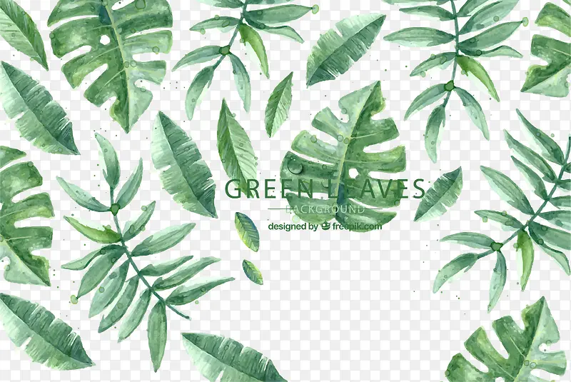 ��ҶAIʸ��ͼ-������