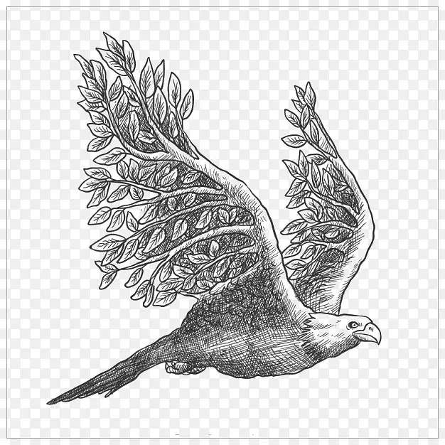 �ֻ����ӥ-������