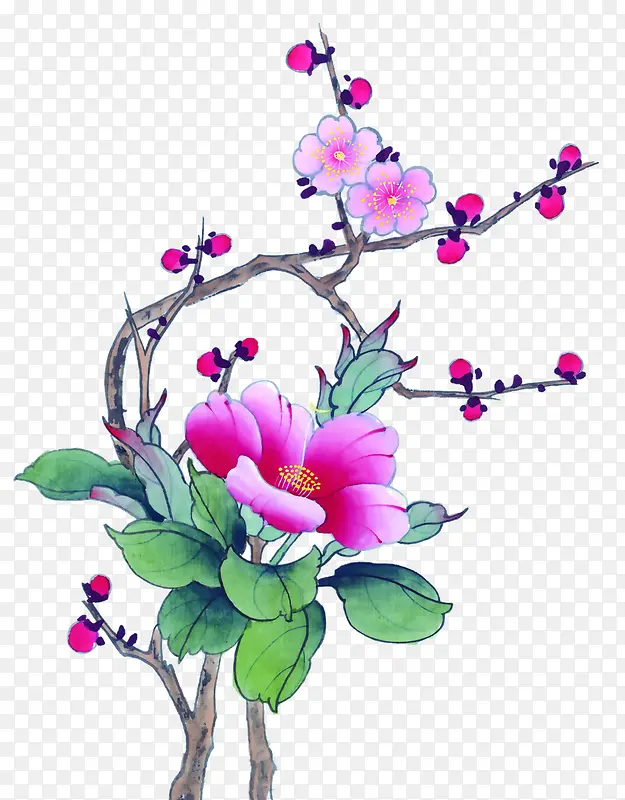 ˮ��÷���������-������