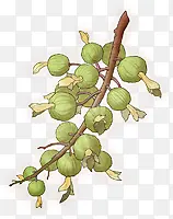 ������֦�ֻ��������-������