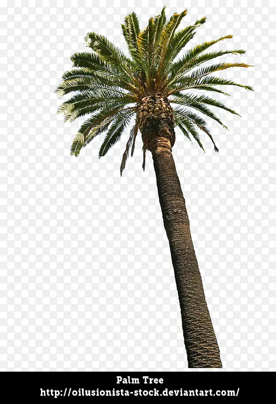 �㽶������-������