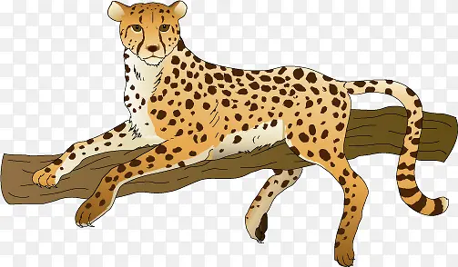 ����-������