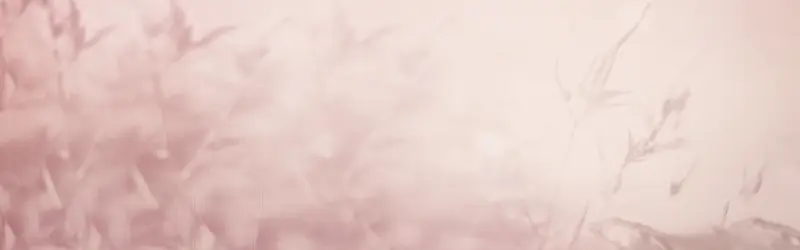 ��ɫ������֦�ز�banner-������