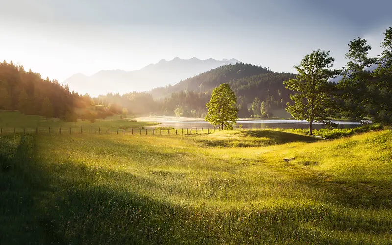 Ψ����ɫ��԰��Ӱͼ-������