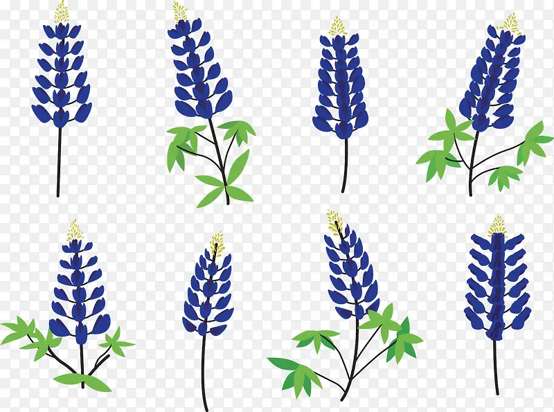 ��ɫ޹�²�-������