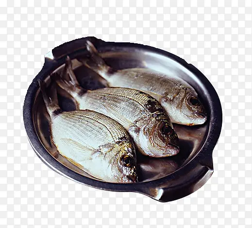 �������ʲ���-������