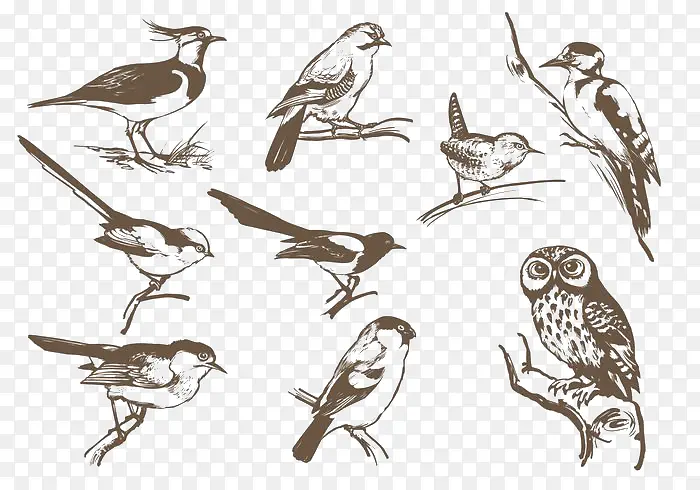 �ֻ���-������