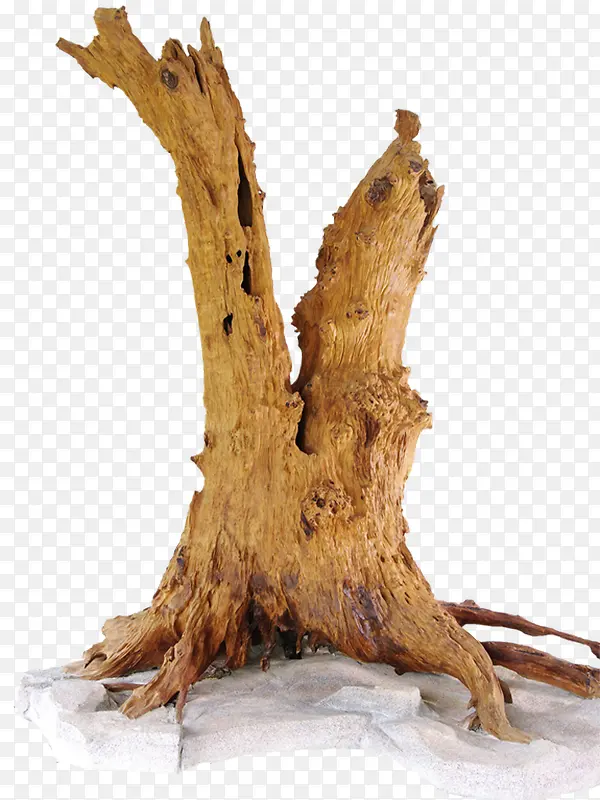 ��ɫ����-������