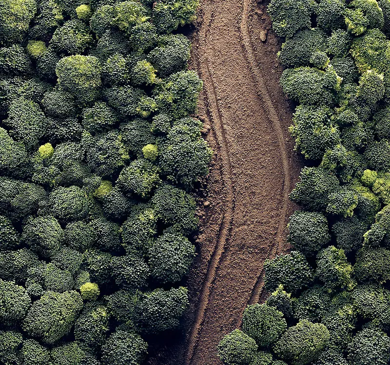 �߲�����������·-������