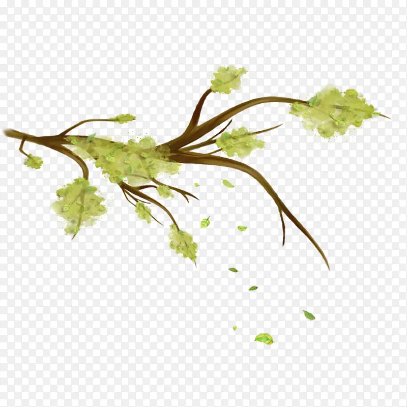 ��ͨ��֦-������