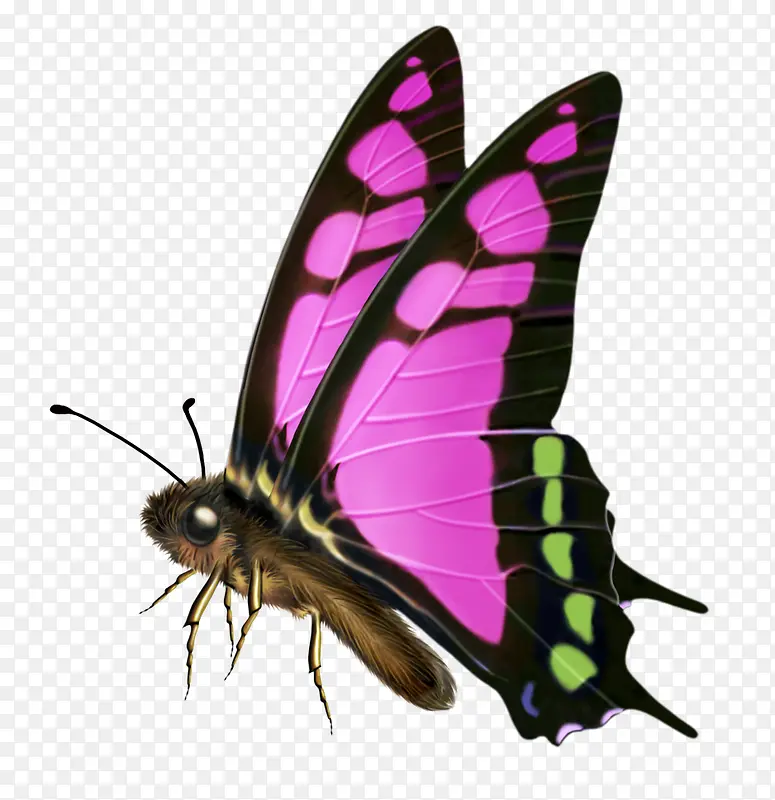 ����-������