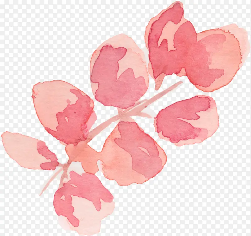 ˮ�ʺ�Ҷ-������