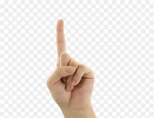 �����ʳָ�زĲ廭-������