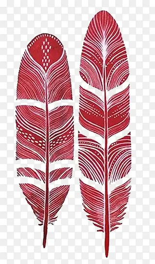 ��ͨ��ɫ��ë-������