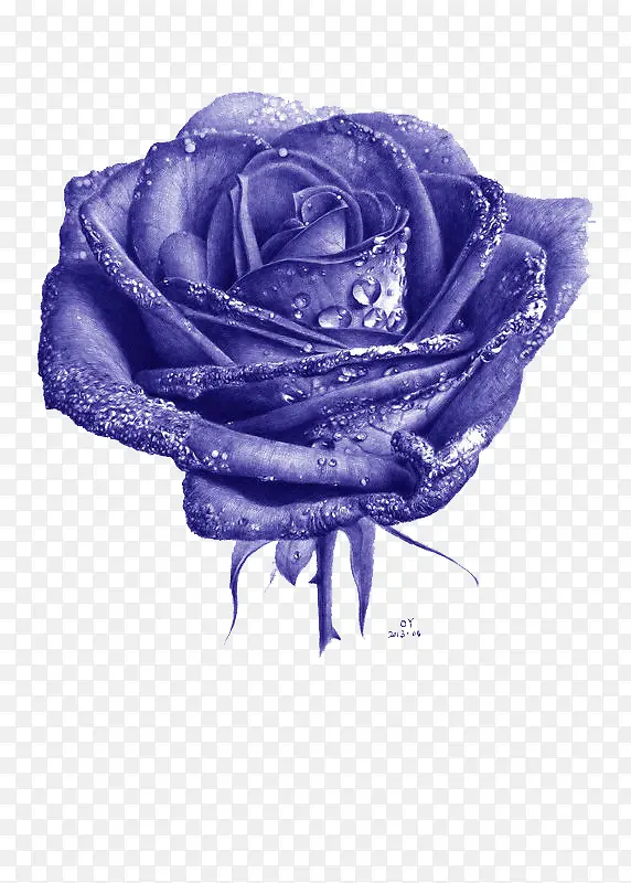 ��õ��-������