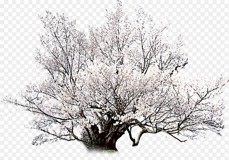 ���տ����һ�����-������