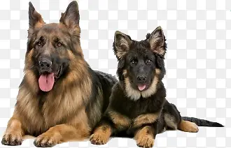 ����ʸ��ͼ�ֻ涯�� ��Ȯ-������