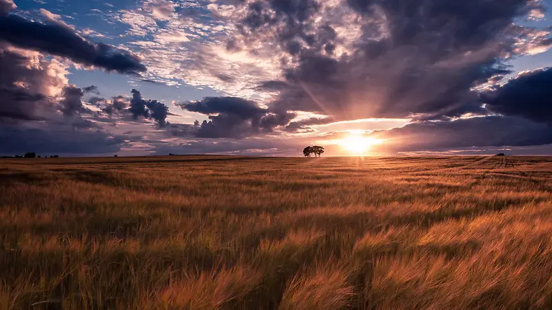 Ψ����ԭ������Ӱͼ-������