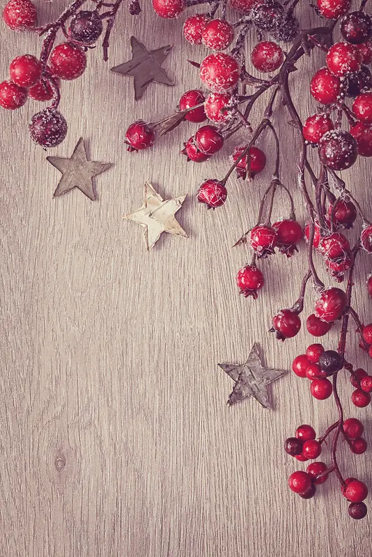 ʥ���ڶ���ľ�屳��-������