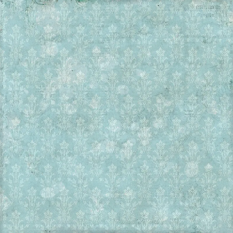 ���Ż��Ʊ�������-������