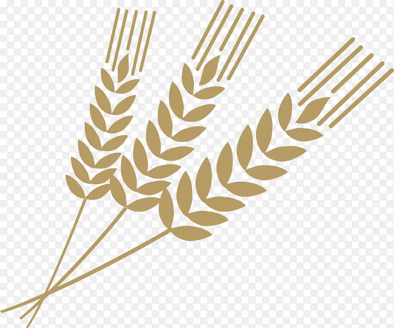 ֲ���ֻ��������-������