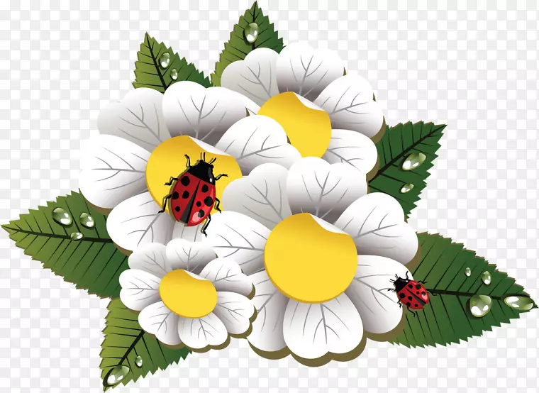 ��Ӱ����-������