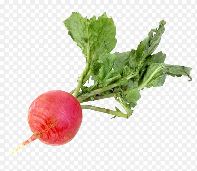 ���ܲ��߲�-������