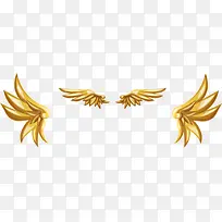 ��ɫ���װ��-������