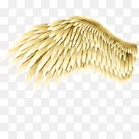 金色翅膀-空若网 金色翅膀-空若网