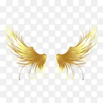 人物金色翅膀-空若网 人物金色翅膀-空若网