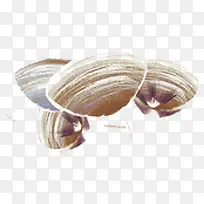 �ֻ��ȱ�-������