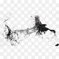 黑鹰展翅-空若网 黑鹰展翅-空若网